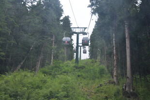 山林间的缆车索道景观