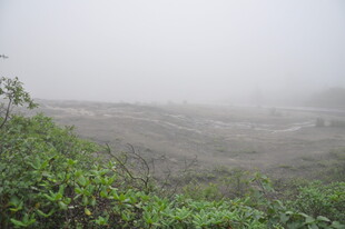 雾中朦胧的山野景色