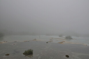 雾气弥漫的荒凉景观