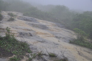 山间雾中岩石与绿植景观