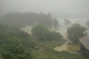 雾中朦胧山林景色