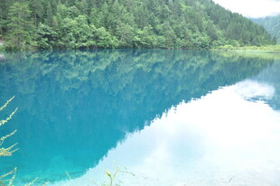 清澈蓝湖映山林美景