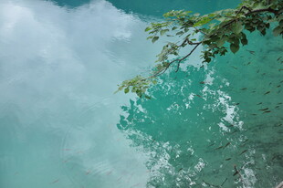 俯瞰翠绿山水间的云雾