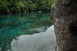清澈碧绿的山间幽潭