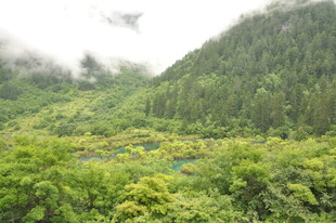 山间绿野 云雾缭绕之景