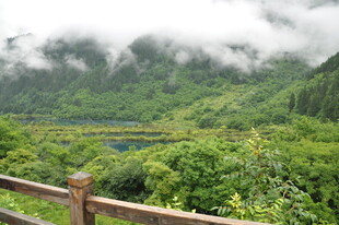 云雾缭绕的山间绿野风光