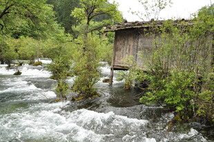 溪边木屋 自然清新景致