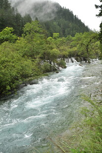 山间湍急溪流 绿意环绕