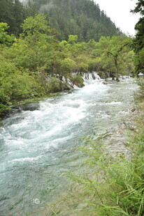 山间湍急溪流 绿意环绕