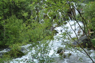 山间溪流穿林而过