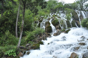 山间瀑布 绿意环绕之景