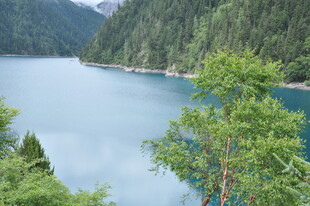 山间幽蓝湖泊与葱郁林木