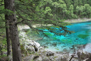 森林中的蓝绿色清澈湖泊