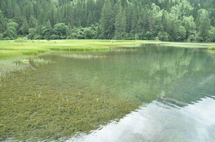 宁静山林中的清澈湖水