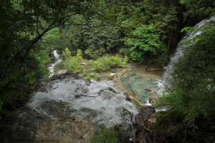 山间清幽溪流与绿植景观
