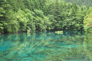 翠绿山林间的澄澈蓝湖