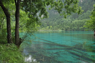 翠绿山林间的澄澈蓝湖