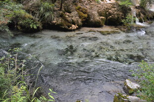 山间清澈溪流及周边景致