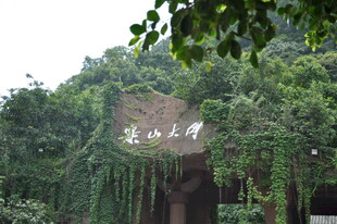 藤蔓覆盖的古朴建筑