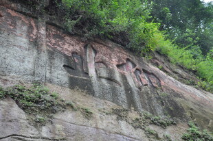 陡峭岩壁上的繁茂绿植
