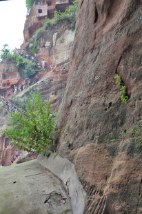 悬崖边的绿植与建筑景观