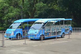 景区蓝色观光游览车