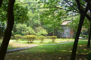 林间静谧庭院景观