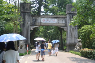 古牌坊下撑伞漫步的人群