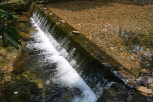 山间小瀑布流水潺潺