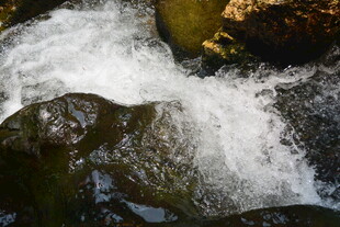 山间溪流潺潺流淌