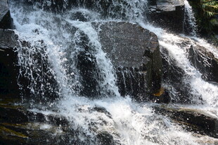 山间小瀑布水流潺潺