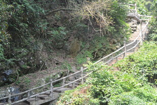 山间木质步道穿行于绿意中