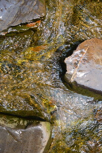 潺潺溪流中的多彩石块