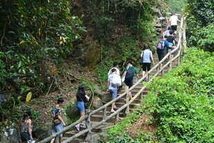 游客攀登山间木质阶梯