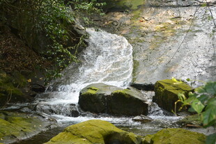 山间溪流瀑布 绿意盎然