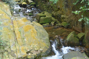 山间溪流穿石而过