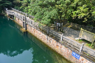 河畔木质栈道与葱郁绿树