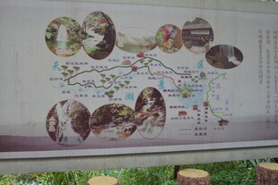 手绘风格动物主题地图展示