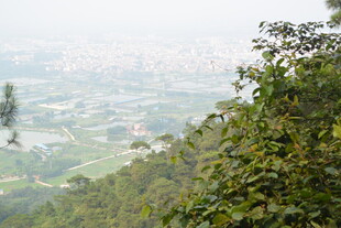 山巅远眺城市绿茵景观