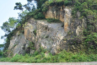 陡峭山壁与周边绿植景观