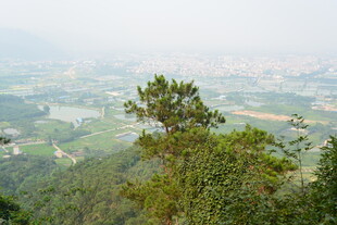 山顶眺望葱郁山林景观
