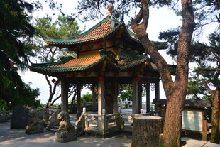 中式古亭立于绿树间