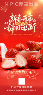 2026马年春节年货节摄影风节