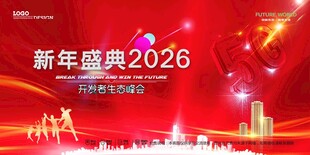 会议背景