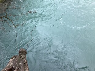 清澈河水中的漂浮木头