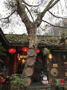 古树下的中式风情小店