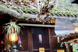 日式古朴小屋 静谧氛围感