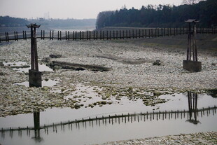 干涸河床上的老旧桥梁