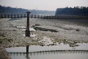 干涸的水域与围栏景观