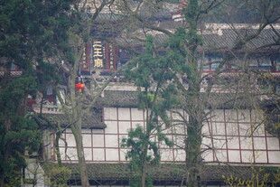 古建隐于葱郁林木间